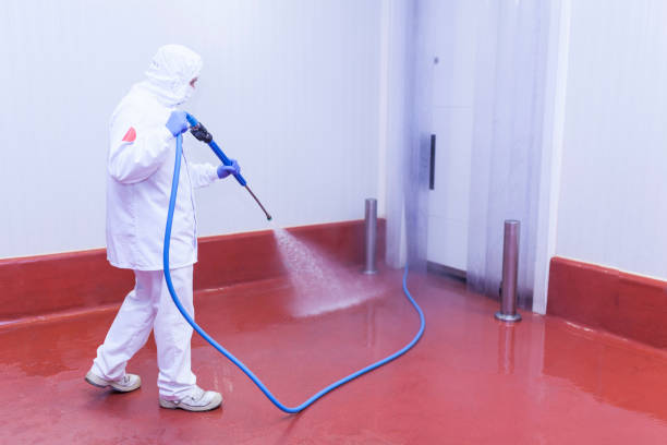 Best Restaurant Pressure Washing  in Marion, OH